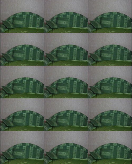 Download Video File: myfreecams hammidi