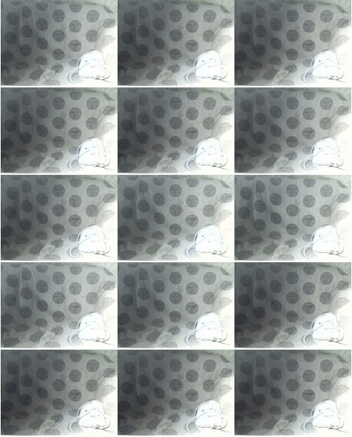 Download Video File: myfreecams jerrymiks