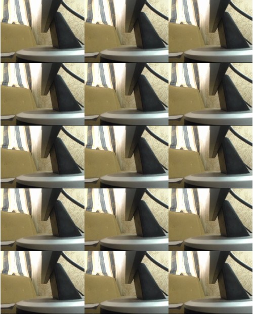 Download Video File: myfreecams palmyraa