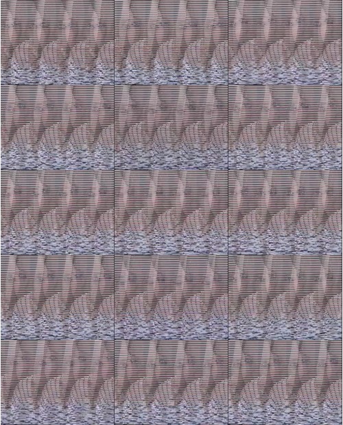 Download Video File: myfreecams shenise24