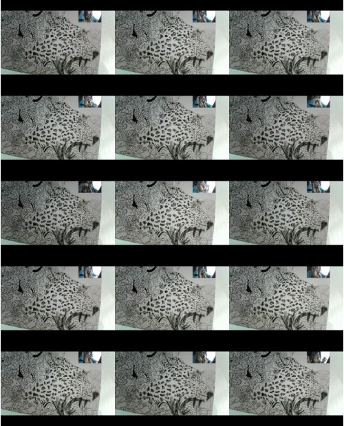 Download Video File: myfreecams siennascarlet