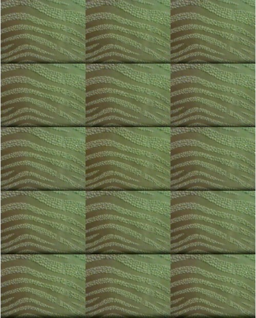 Download Video File: myfreecams betweencheeks