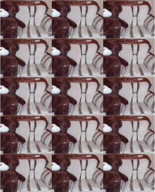 Download Video File: myfreecams li son en