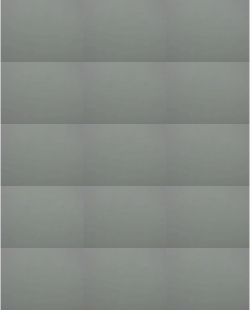 Download Video File: myfreecams anthonelax