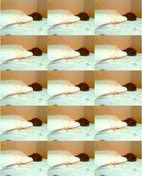 Download Video File: myfreecams lustypussy23