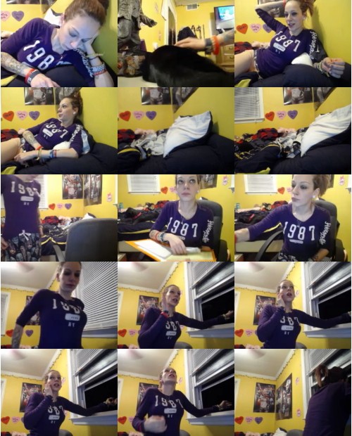 Download Video File: myfreecams pitbull love
