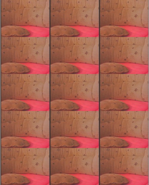 Download Video File: myfreecams ane valentine