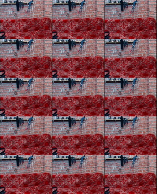 Download Video File: myfreecams madysonsq