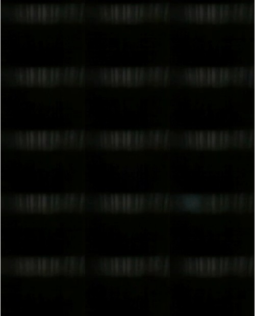 Download Video File: myfreecams margoshavip