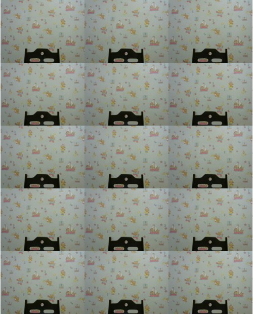 Download Video File: myfreecams rokaio