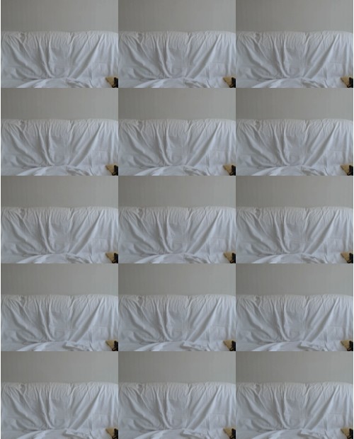 Download Video File: myfreecams theadias