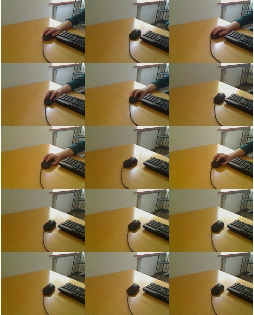 Download Video File: myfreecams dorsell