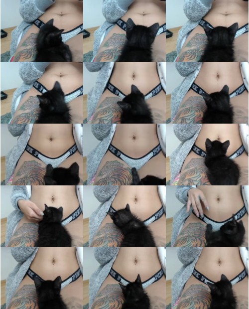 Download Video File: myfreecams kitsune girl