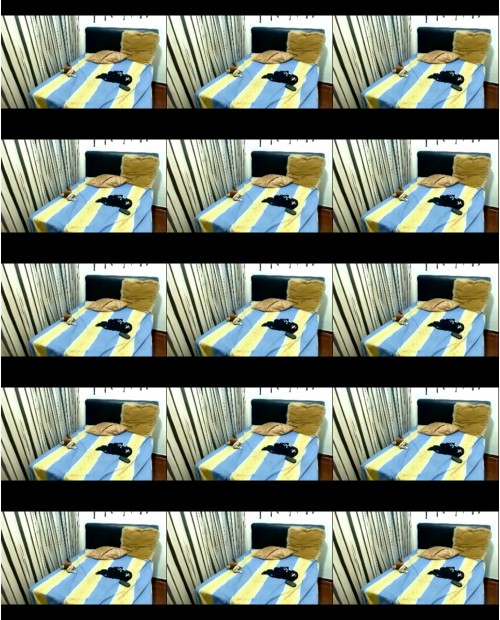 Download Video File: myfreecams pitux4u