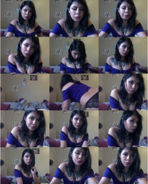 Download Video File: myfreecams felineblack