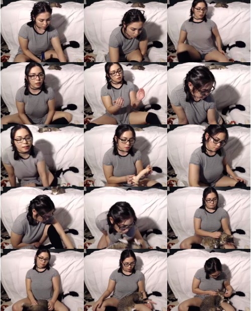 Download Video File: myfreecams evawilliams