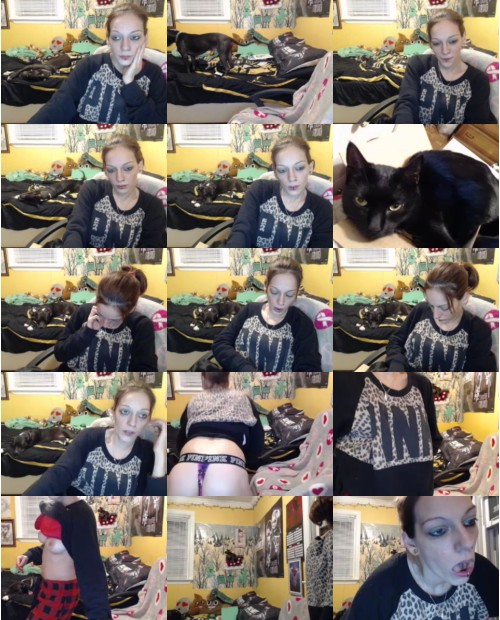 Download Video File: myfreecams pitbull love