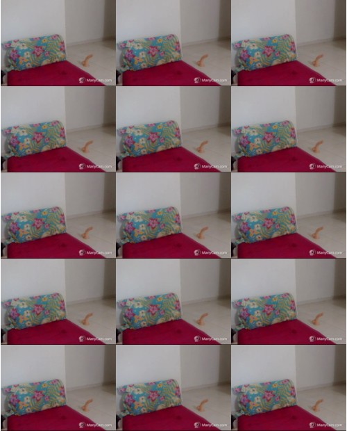 Download Video File: myfreecams karitokiss