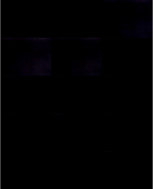 Download Video File: myfreecams demmy 