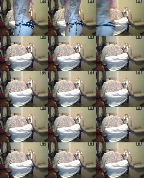 Download Video File: myfreecams michaella 69