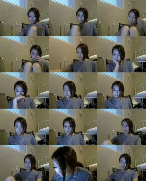 Download Video File: myfreecams porkbunz