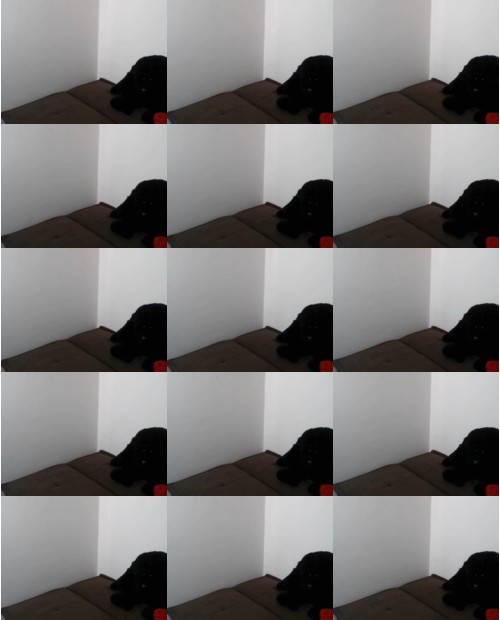 Download Video File: myfreecams kitty petite