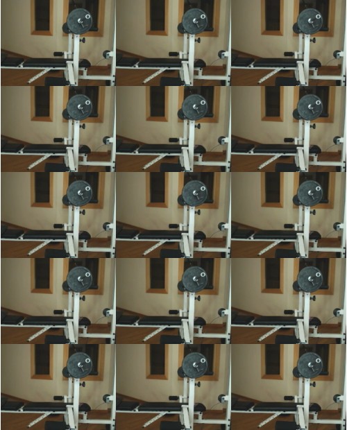 Download Video File: myfreecams juss sweet