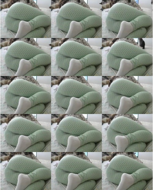 Download Video File: myfreecams llorettee