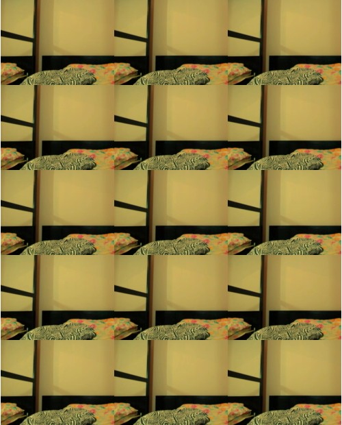 Download Video File: myfreecams saradesiree1