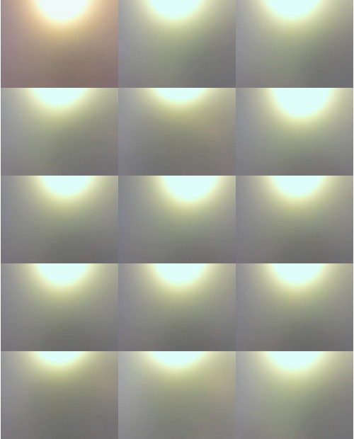 Download Video File: myfreecams angel bun