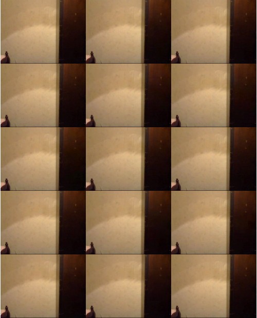 Download Video File: myfreecams fabiina