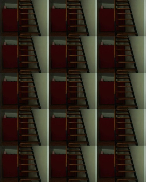 Download Video File: myfreecams helenadoris