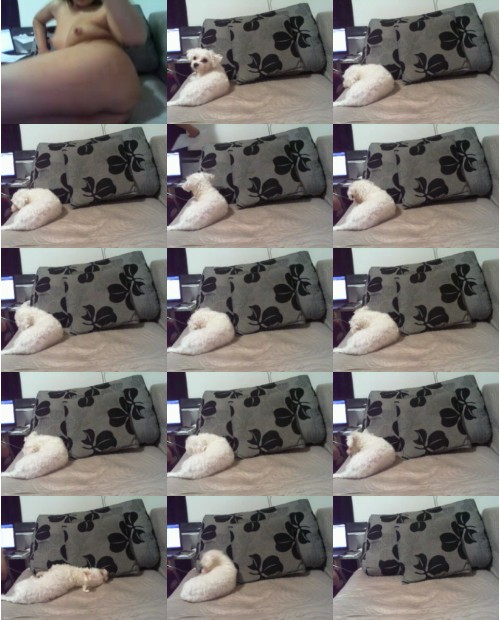 Download Video File: myfreecams kittyde e