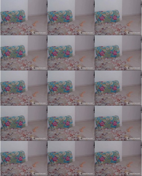 Download Video File: myfreecams karitokiss