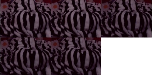 Download Video File: myfreecams latinmegan