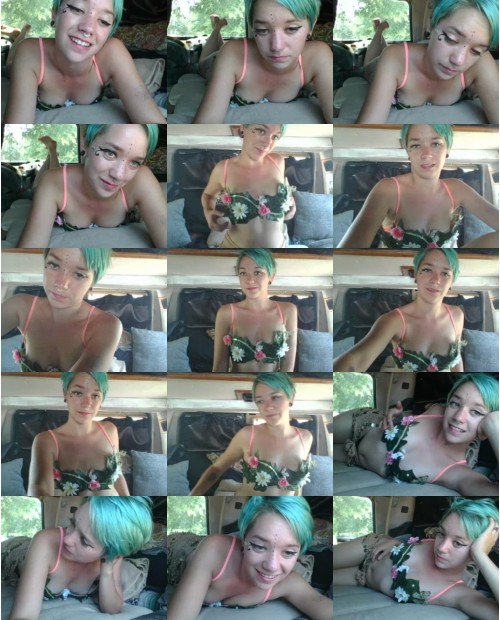 Download Video File: myfreecams fauna fae