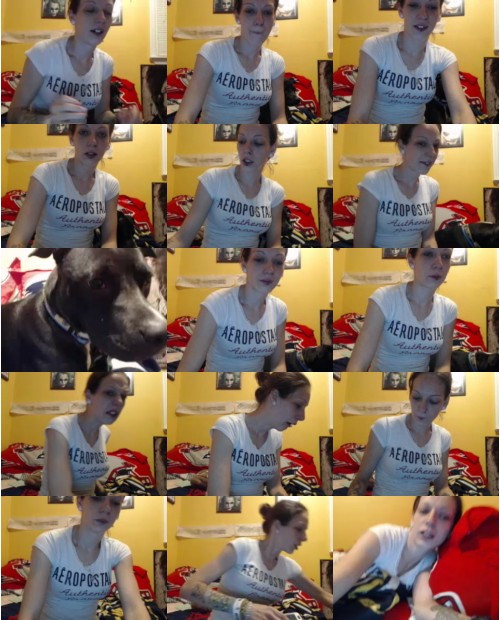 Download Video File: myfreecams pitbull love