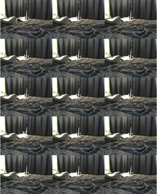 Download Video File: myfreecams jadelanemfcxx