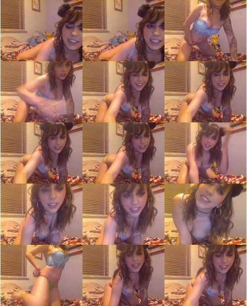 Download Video File: myfreecams sunbeambear