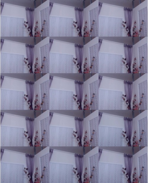 Download Video File: myfreecams feminna