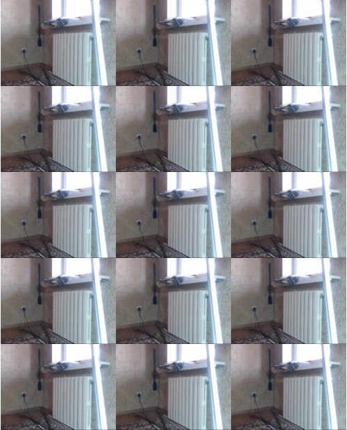 Download Video File: myfreecams brickman si