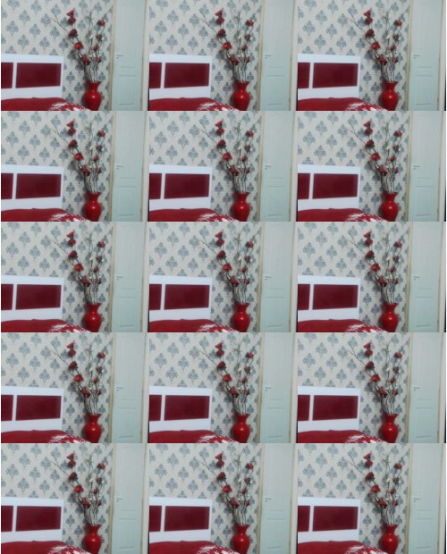 Download Video File: myfreecams feminna