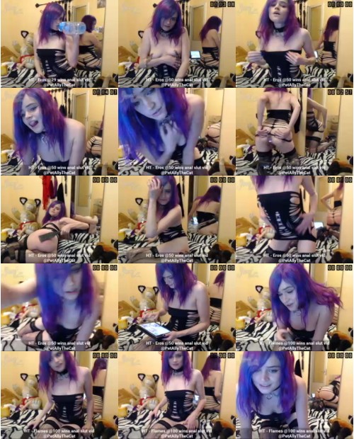 Download Video File: myfreecams allythecat