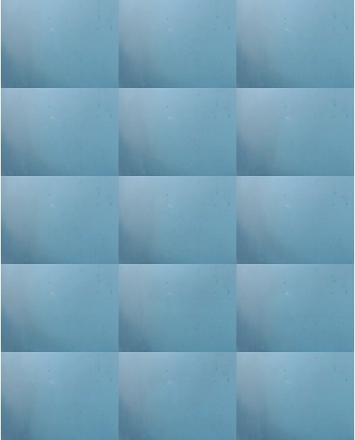 Download Video File: myfreecams adelarose