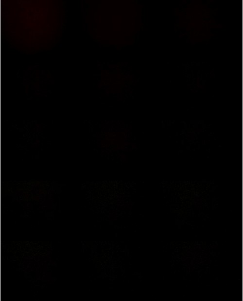 Download Video File: myfreecams berrica