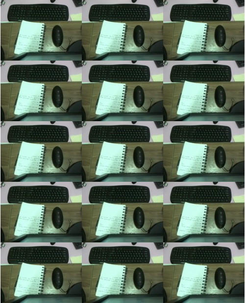 Download Video File: myfreecams blondepamela