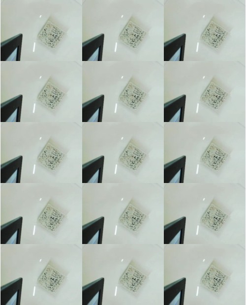 Download Video File: myfreecams lan mei