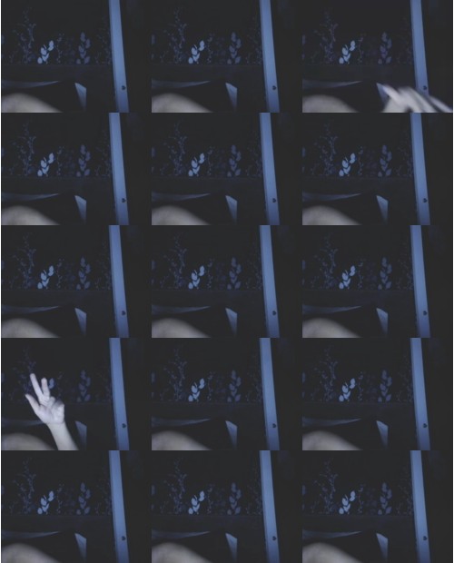 Download Video File: myfreecams tylerxesin