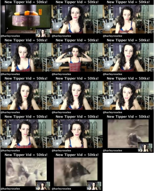 Download Video File: myfreecams harleyroselee