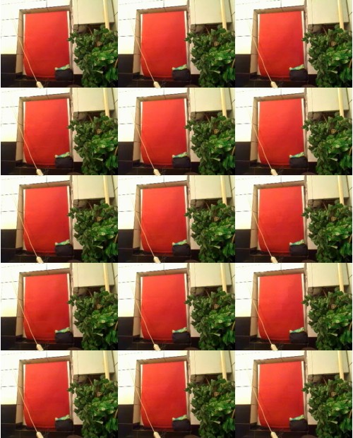 Download Video File: myfreecams leahbigboobs